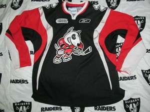 niagara icedogs jersey