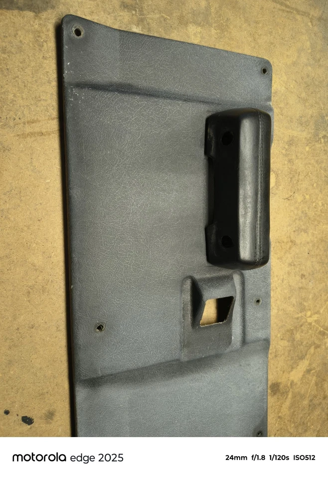 Dodge Truck 1969 1970 1971 panel de puerta izquierdo D100 D200 OEM Sweptline 69 70 71 Foto 3 de 4