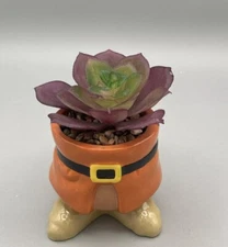 Snow White Planter Faux Succulent Terrarium Disney Garden Seven Dwarfs DOC