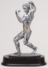 MALE BODY BUILDER  BUILDING SCULPTURE AWARD T...