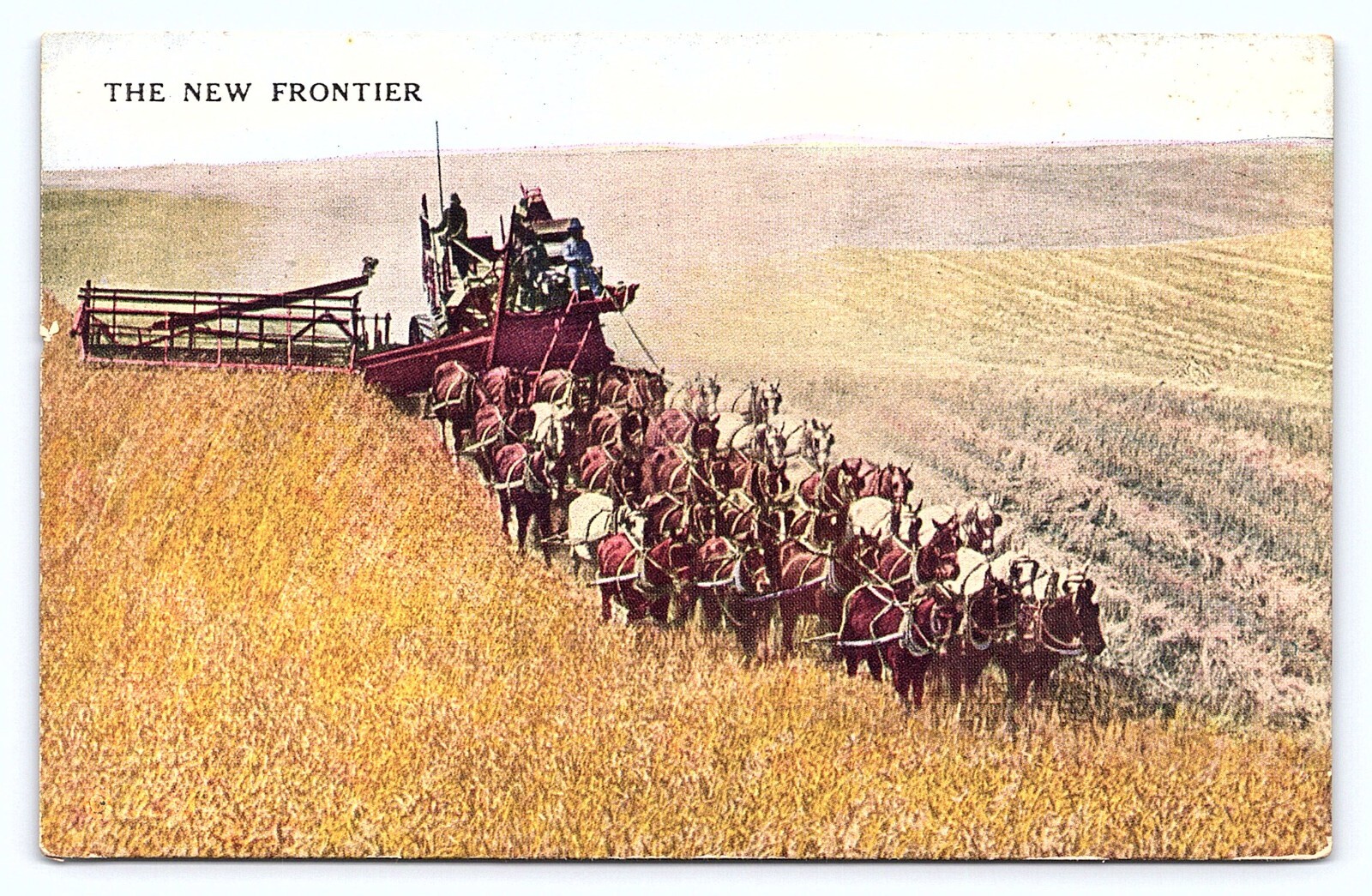 c1907 The New Frontier Harvesting Huge Horse Team Building Churches Postcard D25