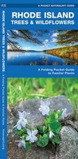 Rhode Island Trees & Wildflowers by James Kavanagh: New
