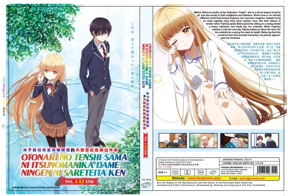 Otonari No Tenshi sama Ni Itsunomanika Dame Ningen Ni Sareteita DVD OTONARI NO TENSHI-SAMA NI ITSUNOMANIKA DAME NINGEN NI SARETEITA KENTracking | eBay