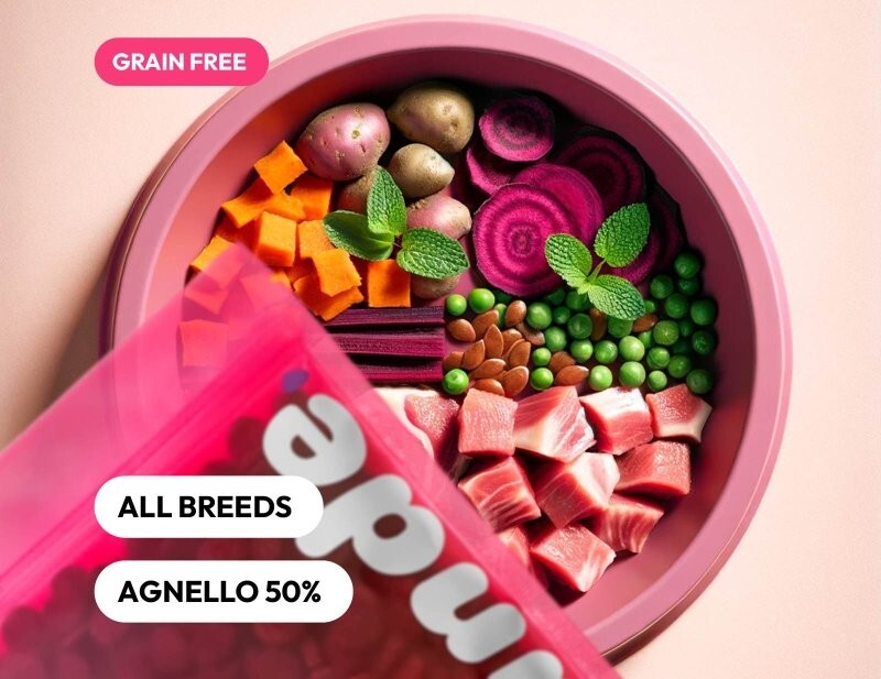 Cibo Cani Pink Superfood+ Agnello e Menta Grain-Free | Benessere Olistico