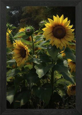 Sonnenblumenstrauß gerahmtes Wandbild Poster Leinwanddruck Bild