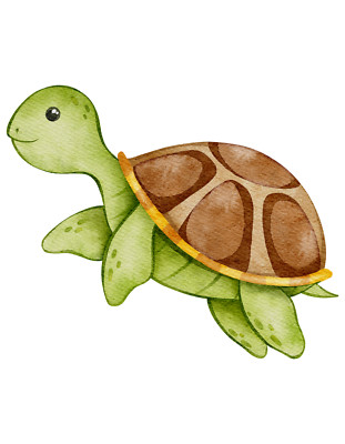 Car sticker sticker turtle sticker
