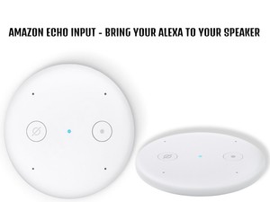 echo input ebay