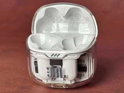 Original JBL Tune Flex Ghost White/ Weiß  Ladecase (nur Case), USB-C, getestet