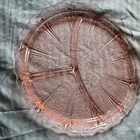 2 Jeannette Cherry Blossom Pink 9 1/4" Divided Grill Plates (Pair) Gorgeous