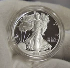 1991 S US Proof Silver Eagle $1 W/ Original Flet Box Nice