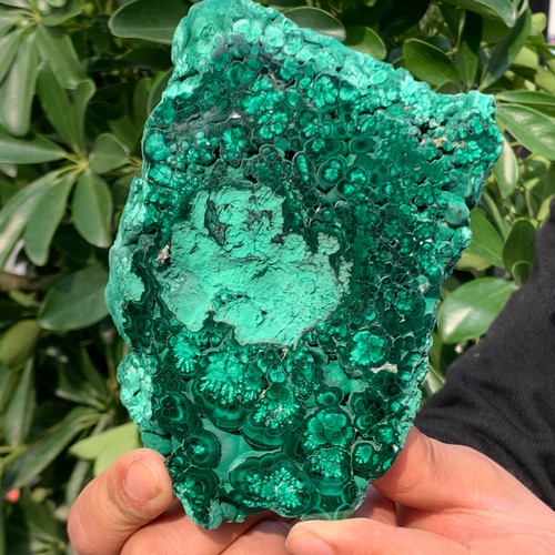 448G Natural Beauty Shiny Green BrightMalachite Fibre Crystal From China - 第 8/13 張圖片