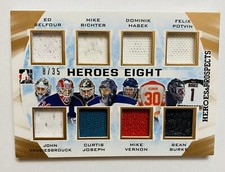 2016-17 ITG Heroes and Prospects 8 Goalies Belfour Hasek Potvin Richter 8/35
