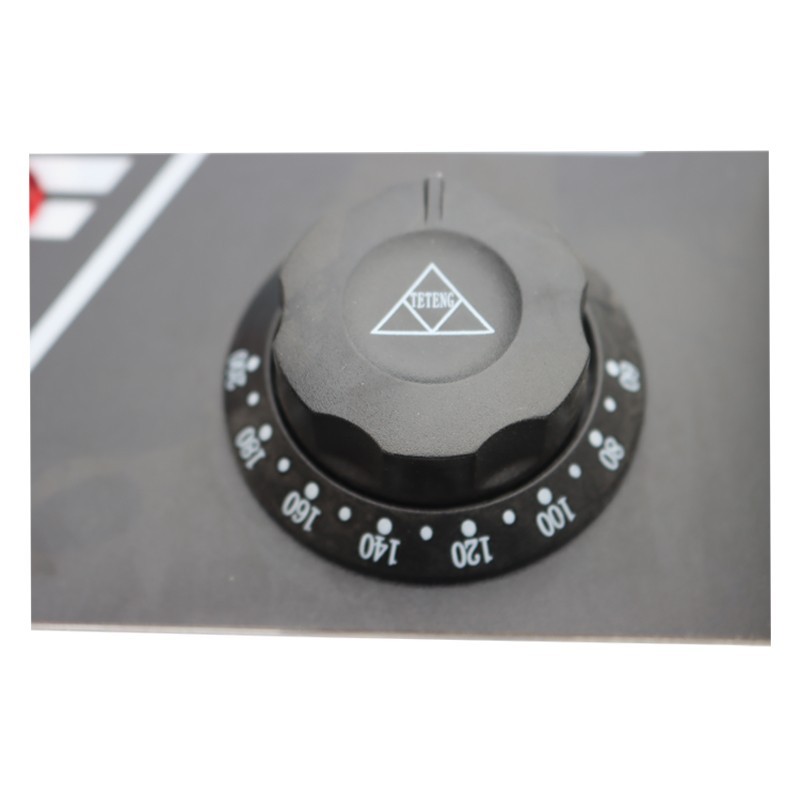 2 Holes Noodles Cooker Machine Noodle Stove Pasta Boiler Stainless 10L 1.7KW