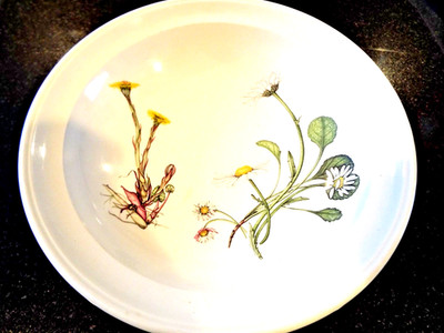 Portmeirion  THE QUEEN'S HIDDEN GARDEN Dandelion Daisy Dinner Plate