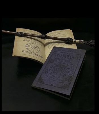 Das praktische Taschenbuch der Astrologie 