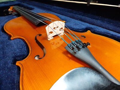 PLJBL - True Intermediate Viola #D 15,5'' perfekter Flugstart, zweites Instrument