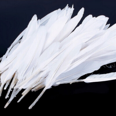 Free shipping 4-6inch/10-15cm 100pcs Goose feathers 14 Colour Choice DIY