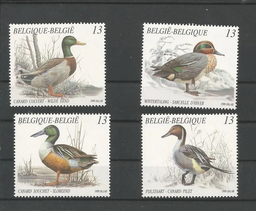 Belgium birds = ducks