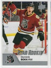 Dominik Bokk 20-21 Upper Deck AHL Hockey Star Rookie #188 Chicago Wolves