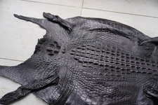 US Stock Black Real Hornback Crocodile Skin Leather Hide Exotic Pelt Taxidermy