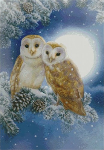 Chart Xstitch DIY Needlework - Counted Cross Stitch Patterns - Owl 6 - Picture 2 of 2
