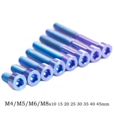 Titanium Ti Screw M4/M5/M6/M8x10 15 20 25 30 35 40 45mm Hex Head Bolt