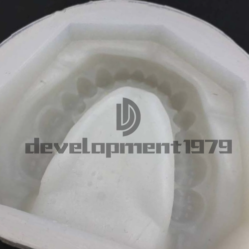Stampo modello intonaco dentale 2pz stampo di mascella edentula blocco completo cavità - Foto 4 di 10