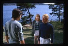 The Buttercup Chain 1970 Jane Asher Sven-Bertil Taube Original 35mm Transparency