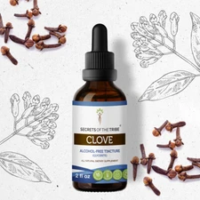 Secrets Of The Tribe Clove Tincture Alcohol-FREE