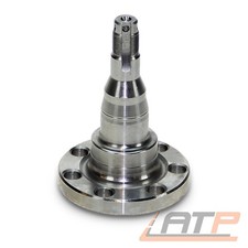 ACHSSCHENKEL ACHSZAPFEN HINTEN FÜR VW POLO 86C SANTANA SCIROCCO VENTO ALLE