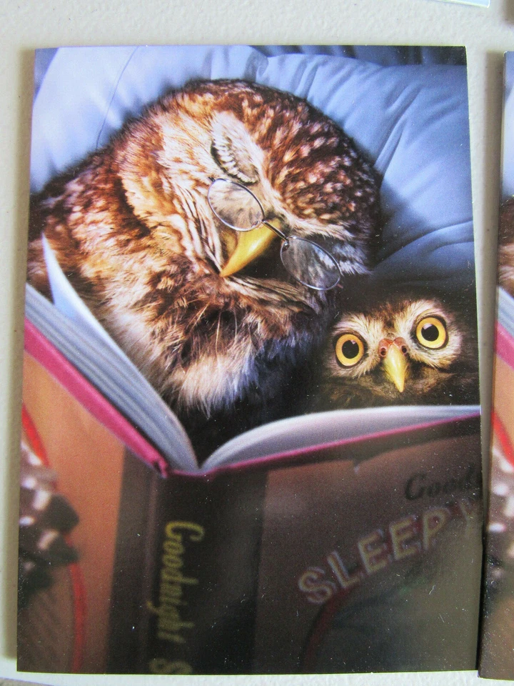 Lot of 10 Owl Family Reading Hiking Father's Day Card Greeting Avanti Press USA - Image 2 of 4
