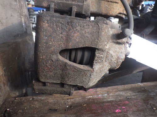 Bremssattel vorne rechtsVW Golf V Variant (1KM) 1.9 TDI 77kW 105PS  BLS