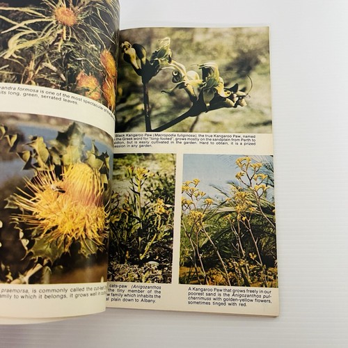 Grow The West’s Best Native Plants George Lullfitz For Cultivation & Growing PB - Picture 17 of 21