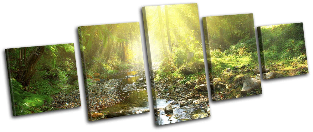 Woodland River Stream Forest Landscapes MULTI CANVAS WALL ART Picture Print
