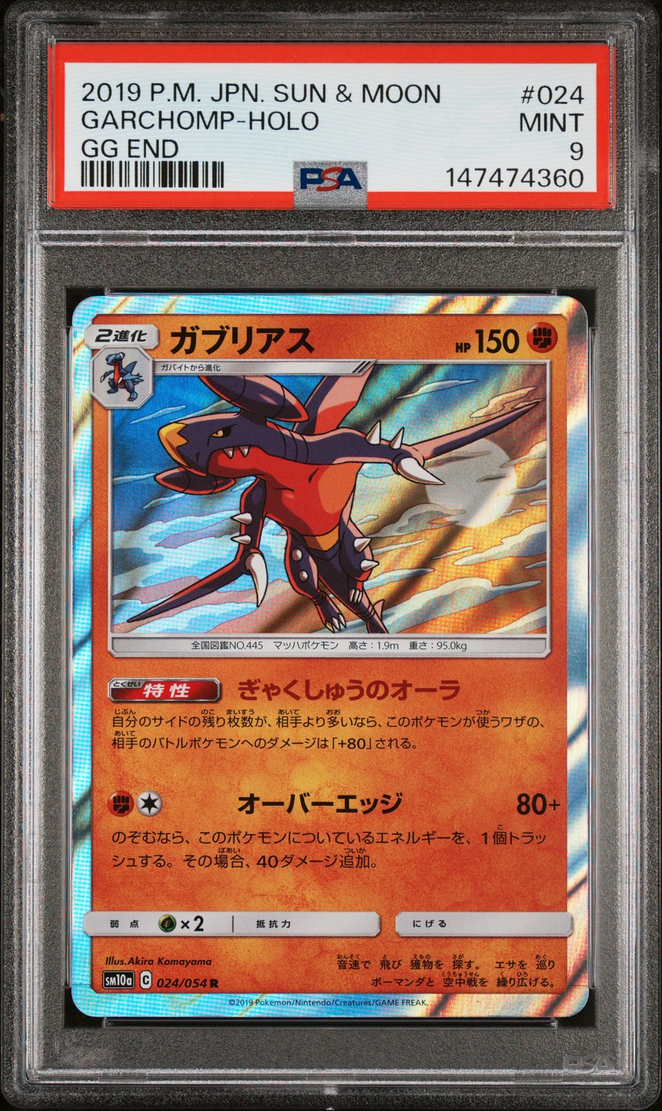 Garchomp #24