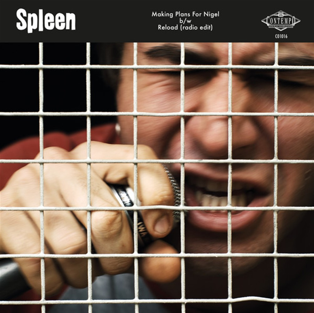 Making Plans For Nigel - Spleen (Vinile)