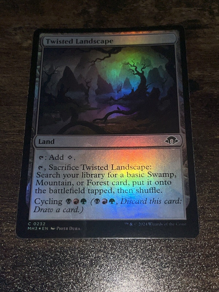 孤独　ボーダーレスfoil MH2 mtg 英)【Foil】孤独 / Solitude ☆ボーダーレス☆ 【MH2】 No.307｜MtG