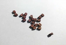 Ship Model Fittings Parts 20 Corel walnut 3mm single blocks