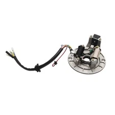 2 Coil Stator Magneto For Kick Start Dirt Pit Bike 50cc 70cc 90cc 110cc 125cc 
