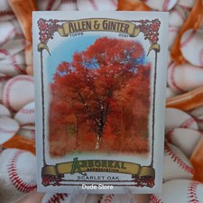 2021 Topps Allen & Ginter - Arboreal Appreciation #AA-10 - Scarlet Oak - NM