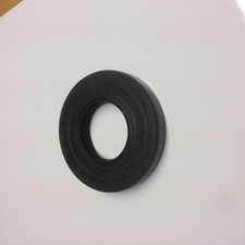 Briggs & Stratton Oil Seal 391483 391483S