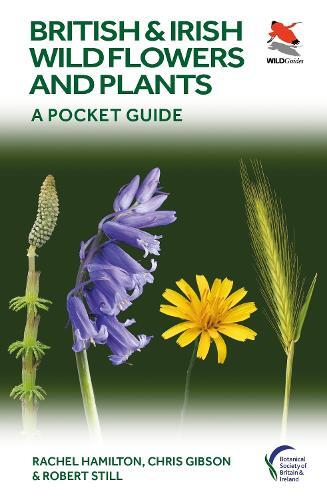 Rachel Hamilton Chris Gibson Robe British and Irish Wild Flowers an (Tascabile)