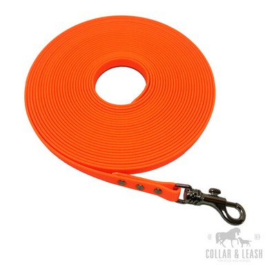 C&L Hundehalsband Aus BioThane® – 25 Mm, 60 Cm, Zugstopp, Neongelb