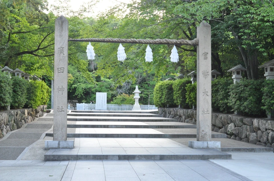 Probado! Nikon Nikkor Ai-s AIS 35mm f/2.8 Gran Angular MF Prime Lente Exc... - Imagen 4 de 4