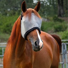 DuraMask Equine Fly Mask Without Ears