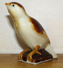 Très bel Oiseau Moineau en