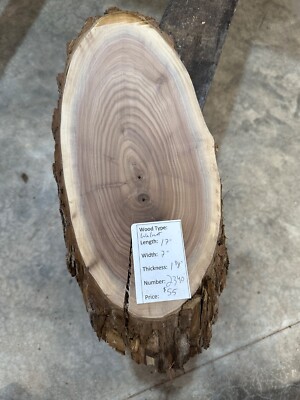 Black Walnut Cookie Slab #2340, live edge slab, unfinished, free shipping
