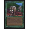 MTG \\>> Timber Wolves (Collectors' Edition) <<// English - 341 Trading - Magic