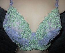 WACOAL 65191 GREEN PURPLE EMBRACE LACE EMBROIDERY UW bra 38 DD LN