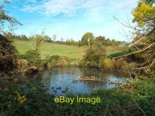 Photo 6x4 Ducks on a pond near Sevenoaks Weald Ducks on a pond in the Ken c2018